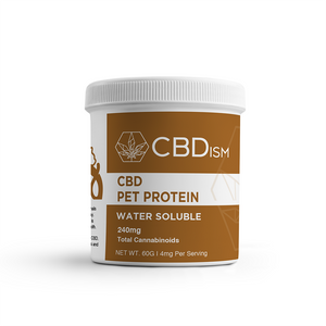 The Benefits and Risks of CBD For Pets