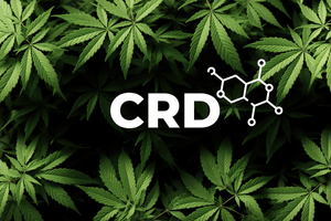 CRD Cannabinoid White Label: Transforming the Cannabis Market for Innovators