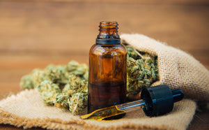 Cannabis Tinctures 101: A Step-by-Step Guide to Making, Dosing, and Using Them