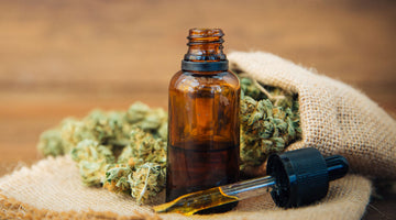 Cannabis Tinctures 101: A Step-by-Step Guide to Making, Dosing, and Using Them