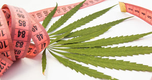 Can Cannabis Aid in Weight Loss? Separating Myths from Facts