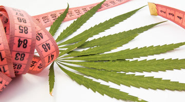 Can Cannabis Aid in Weight Loss? Separating Myths from Facts