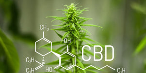 Customize CBD Products