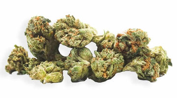 HHC Buds Wholesale