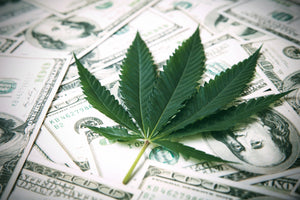 Legal Weed, Big Profits: How Recreational Marijuana is Reshaping Local Economies