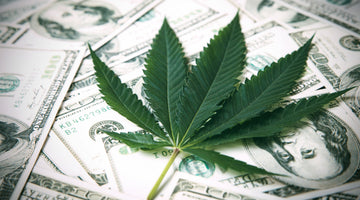 Legal Weed, Big Profits: How Recreational Marijuana is Reshaping Local Economies