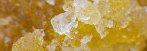 Liquid Diamond Cannabis Concentrates