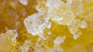 Liquid Diamond Cannabis Concentrates