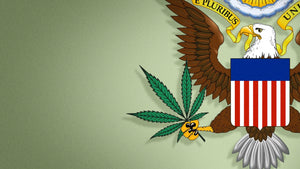 Leading US Drug Agency: Opposing Biden's Efforts to Relax Federal Marijuana Laws