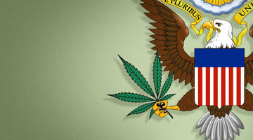 Leading US Drug Agency: Opposing Biden's Efforts to Relax Federal Marijuana Laws