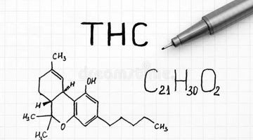 Molecule THC White Label