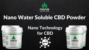 Nano Water Soluble CBD Powder: Nano Technology for CBD