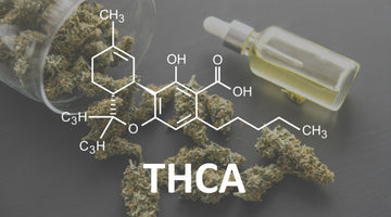 THCA Distillate Wholesale