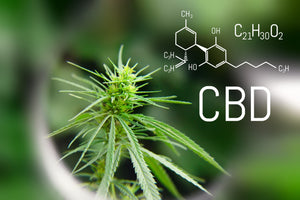 Breaking Into the CBD Market: White Label Tincture Opportunities