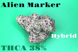 D Squared Worldwide Inc Bulk Flower Alien Marker - hybrid 38% - Lb