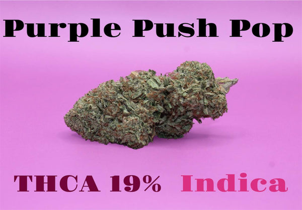 D Squared Worldwide Inc Bulk Flower Purple Push Pop - Indica 19% - Lb