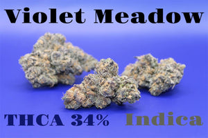 D Squared Worldwide Inc Bulk Flower Violet Meadow - Indica 34% - Lb